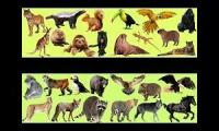 Animales Salvajes Para Ñiños