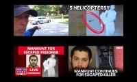 Thumbnail of Daniel Cavalvante Search
