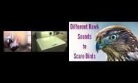 Thumbnail of mEtaL haWk33333333333