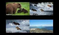 Thumbnail of Katmai National Park - KRV, Riffles, BFL & DM cams
