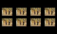 Thumbnail of 56313549708224174745