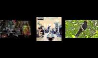 Thumbnail of Birdsong whatever 9 Rutles
