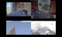 Thumbnail of FalconCam Project Cameras