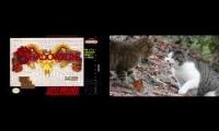 Thumbnail of shadowcat fight 121212121