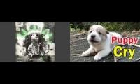 Thumbnail of Yeat - Taliban (feat. sooky puppy)
