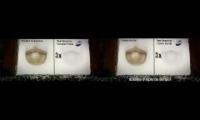 Thumbnail of Domestos elections 2 language