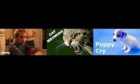 Thumbnail of DJ TRISTESSE - OU VA LE MOOOONDE