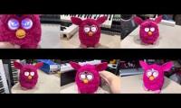 Thumbnail of All Different-Language Interviews At Once...