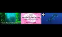 Thumbnail of subliminal + affs ocean whale sounds