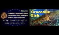 Thumbnail of Travel entertainment