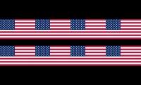Thumbnail of The U.S.A Army Every Day