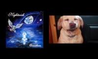 Thumbnail of wgwegawegawhawhawhaw4hwa4h