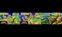 The Teenage Mutant Ninja Turtles Universe of Four Turtle Brothers and their Rat Sensei Father
