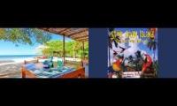 Thumbnail of Steel Drum Beach Experience