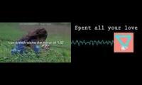 Thumbnail of You Spent All Your Love - Instrumental Cover + Lyrics Karaoke