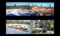 Thumbnail of Deer Cams Pantry Maine 2