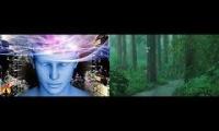 Thumbnail of Meditation for mindfulness