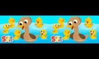 five little ducks comparison
