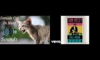 Thumbnail of Amazing cat sings amazing karaoke.