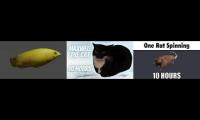 Thumbnail of I made a mistake and now you have to see it too