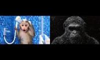 Thumbnail of The Dark Monkey Music
