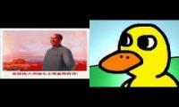 Thumbnail of Wholesome chinese duck singing