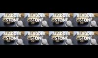 Thumbnail of Memahami BLADDER STONE pada Reptil