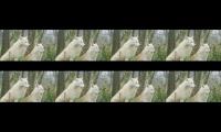 Thumbnail of timetoberelaxedtimetoberelaxed