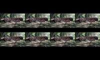 Thumbnail of Kemah safari pandawa scout smansa bulukumba 2017
