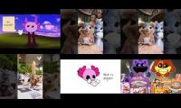 kinitopet and poop squirrel And catnap and dogday munbak