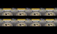 Thumbnail of AWESOME VIDEO NATUREDOTCOM