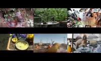 Thumbnail of Amazingearthanimalslivestream