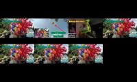 Thumbnail of Youtube terbaru multi views