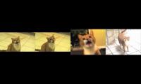 4 shortest video on yt multiplier