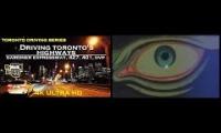 Thumbnail of Toronto Vibes Yeah Boi