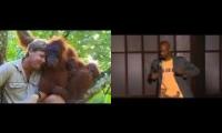 Thumbnail of Monkey Love Wooorrrrrrrd?