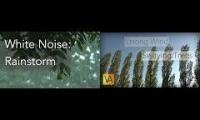 Thumbnail of forest noises in the night
