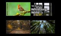 Thumbnail of forest mashup 12345678