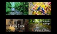 Thumbnail of Middle of the forest in the morning Jazz
