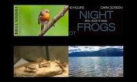 Thumbnail of Forest Project for Music Presentation