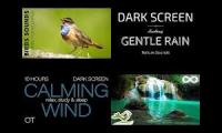 Thumbnail of rain forest sounds in the mornig