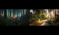 Thumbnail of A walk in the morning forest