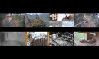 Thumbnail of 鳥鳥鳥鳥鳥鳥鳥鳥鳥鳥鳥鳥鳥鳥鳥鳥鳥鳥鳥鳥