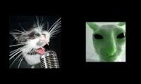 Cat and alien singing duet of cool song