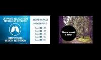 Thumbnail of Breath Hold (2 min) + Silva Tetha Sound
