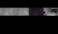 Thumbnail of Amazingearthanimalslivestream