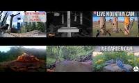 Thumbnail of Amazingearthanimalslivestream