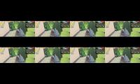 Thumbnail of Increase watch hovers