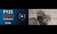 Thumbnail of pallas cat meow meow 12s