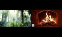 Thumbnail of Just You, The Fire, and the Jurassic Wilderness to Keep You Company